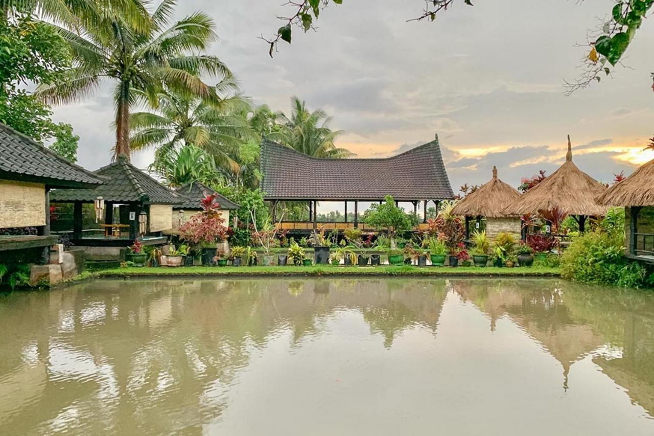 Lesehan Cahaya Tetebatu Inn Syariah At Desa Wisata Esterno foto