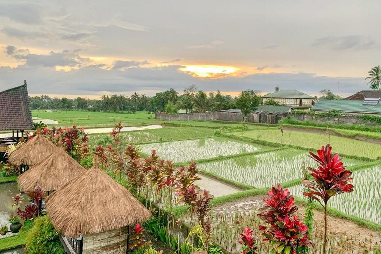 Lesehan Cahaya Tetebatu Inn Syariah At Desa Wisata Esterno foto