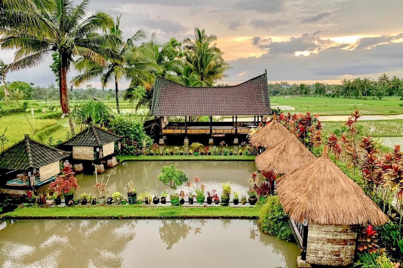 Lesehan Cahaya Tetebatu Inn Syariah At Desa Wisata Esterno foto