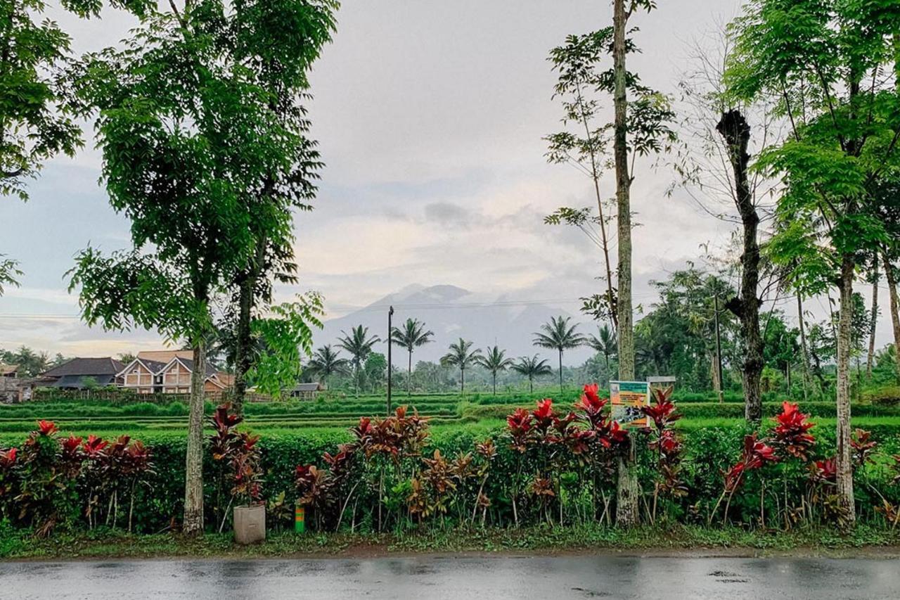 Lesehan Cahaya Tetebatu Inn Syariah At Desa Wisata Esterno foto